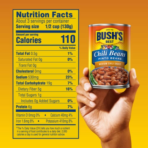Bush's Pinto Beans in a Medium Chili Sauce 16 oz Perspective: bottom
