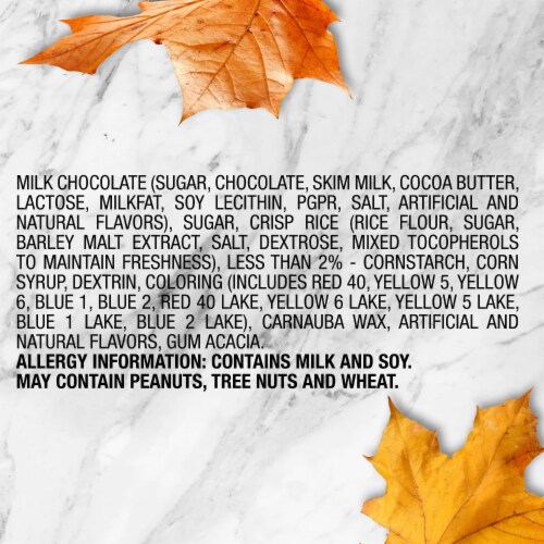 Dove Promises Milk Chocolate Pumpkins Fall Halloween Candy Bag Perspective: bottom