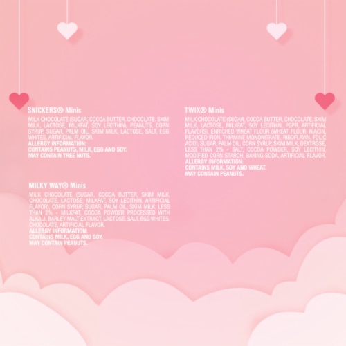 Snickers Twix & Milky Way Valentines Day Assorted Chocolate Heart-Shaped Candy Gift Box Perspective: bottom