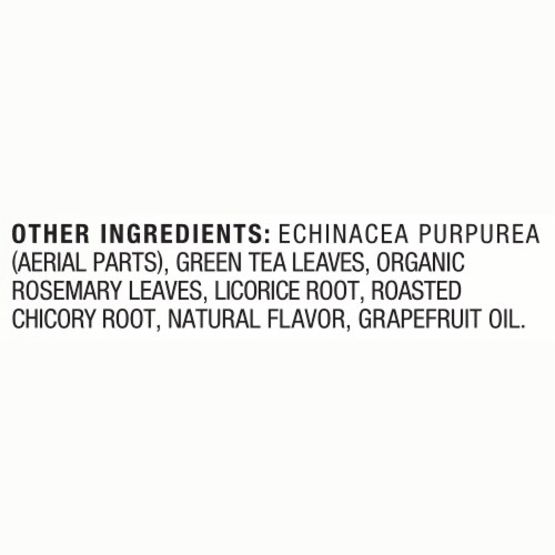 Lipton® Detox Dandelion Nettle Grapefruit Green Tea Bags Perspective: bottom