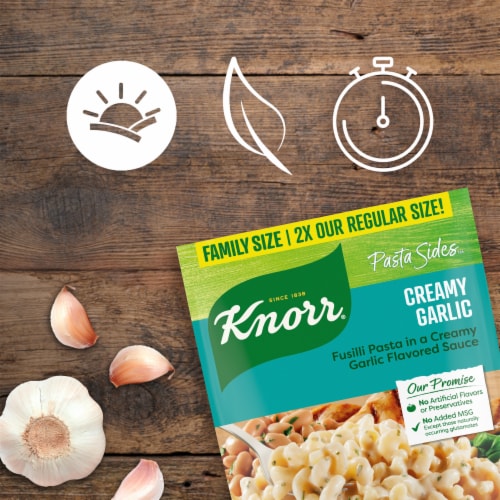 Knorr Creamy Garlic - Family Pack Pasta Side Dish Perspective: bottom