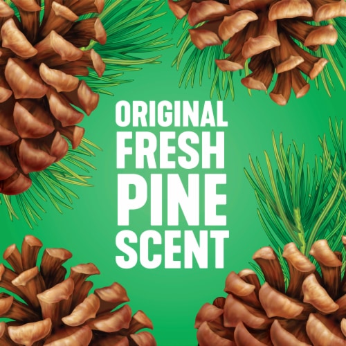 Pine-Sol Pine Multi-Surface Floor Cleaner Original Perspective: bottom