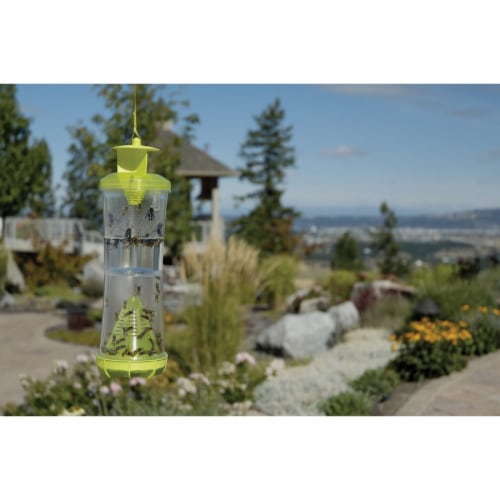 Rescue!® Disposable WHY Wasps Hornets and Yellowjackets Trap Perspective: bottom