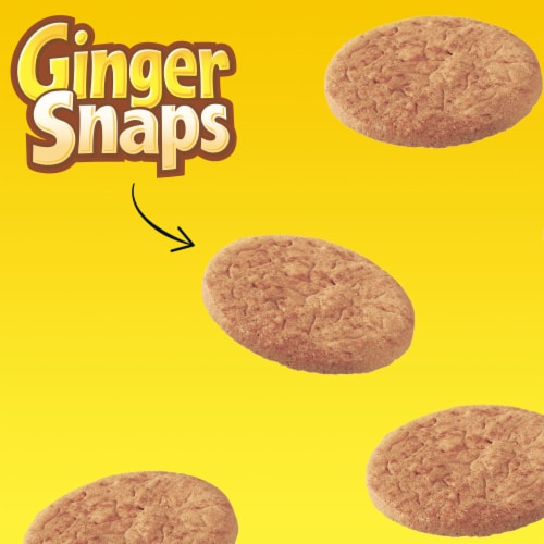Nabisco Ginger Snaps Cookies Perspective: bottom