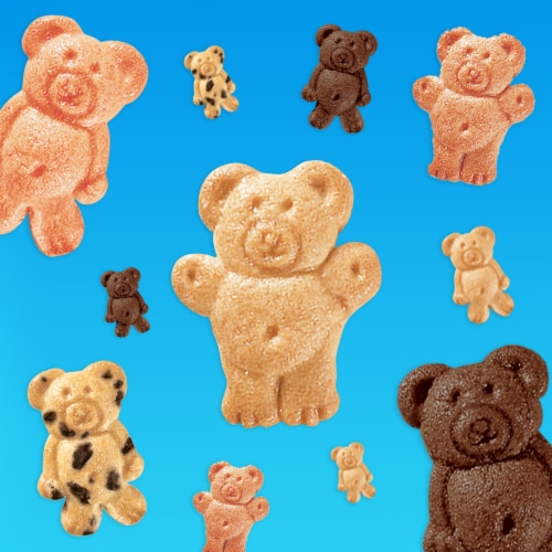 TEDDY GRAHAMS Chocolatey Chip Cookies Perspective: bottom