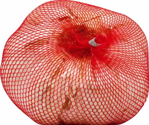 Melissa'a Elephant Garlic Bulb Perspective: bottom