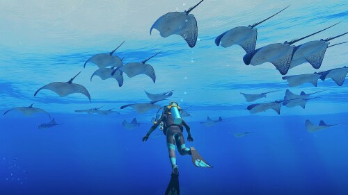Nintendo Switch™ Endless Ocean Luminous Perspective: bottom