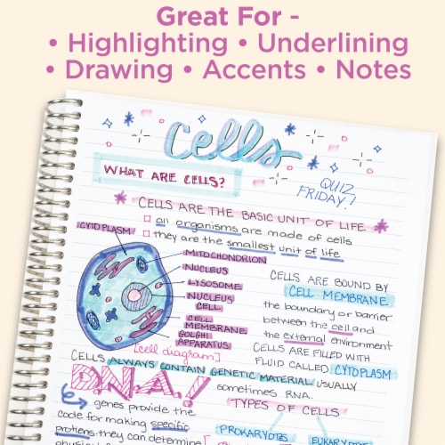 Zebra Pen Mildliner Double-Ended Creative Highlighter Set - Assorted Colors 5-Pack Perspective: bottom