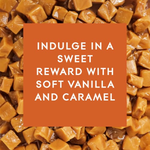 Glade® PlugIns® Scented Oil Refills Air Freshener Vanilla Caramel Twist Perspective: bottom