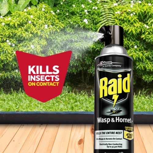 Raid Wasp & Hornet Insect Killer 33, Sprays up to 22 Feet & Kills Entire Nest, 17.5 oz Perspective: bottom