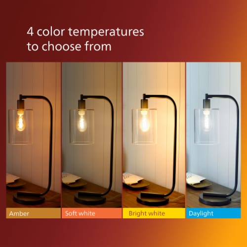 Philips 6.5-Watt (60-Watt) ST19 Vintage LED Dimmable Light Bulb - Amber Light (2000K) Perspective: bottom