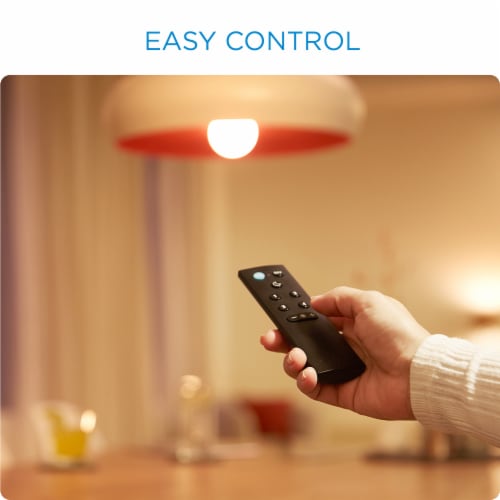 WiZ Remote Control with Batteries Perspective: bottom