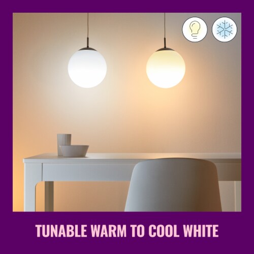Wiz 604280 100W Equivalent Smart A21 LED Light Bulb
