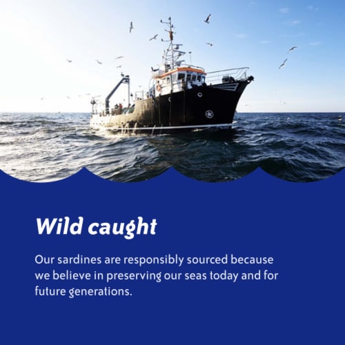 Chicken of the Sea Wild Caught Sardines in Louisiana Hot Sauce Perspective: bottom