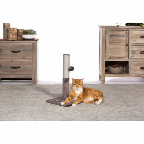 Prevue Pet Products Kitty Power Paws Play & Scratch Perspective: bottom