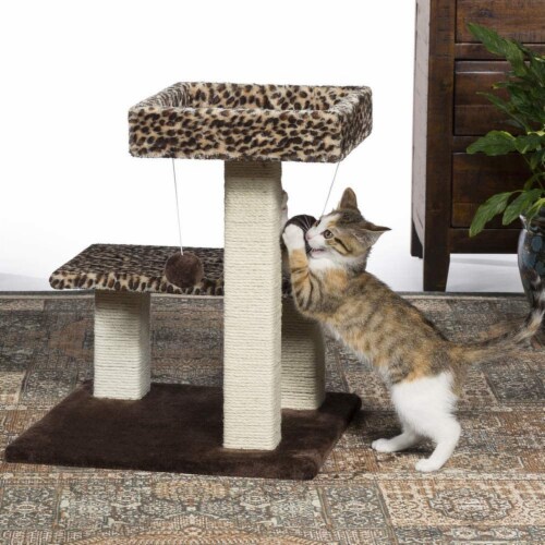 Prevue Leopard Print Cat Terrace Perspective: bottom