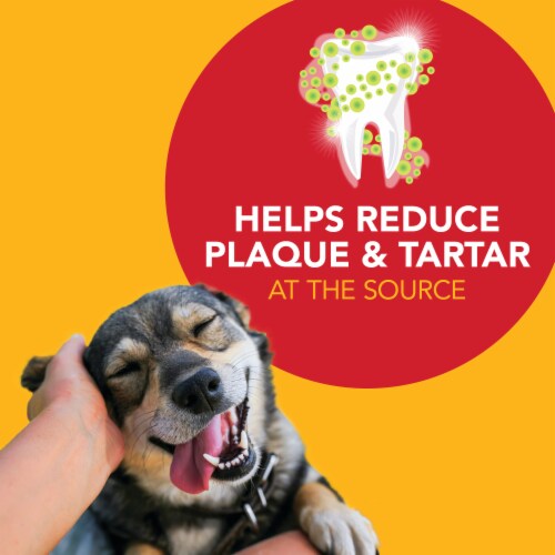 Petrodex Enzymatic Toothpaste For Dogs Perspective: bottom