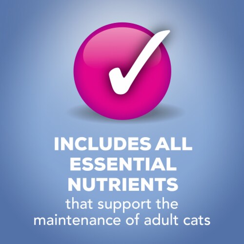 Purina Friskies Shreds Wet Cat Food Variety Pack Perspective: bottom