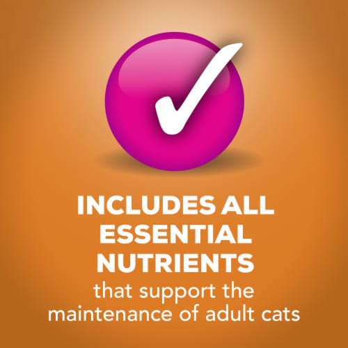 Purina Friskies Extra Gravy Chunky Wet Cat Food in Savory Gravy Chicken Perspective: bottom