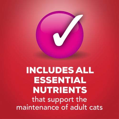 Purina Friskies Extra Gravy Chunky Wet Cat Food in Savory Gravy Beef Perspective: bottom