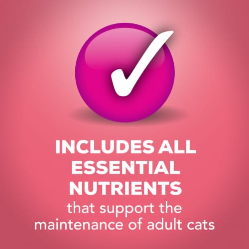 Friskies® Extra Gravy with Salmon Chunky Wet Cat Food Perspective: bottom