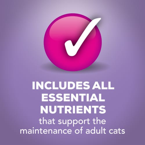 Purina Friskies Extra Gravy Chunky Wet Cat Food in Savory Gravy Turkey Perspective: bottom