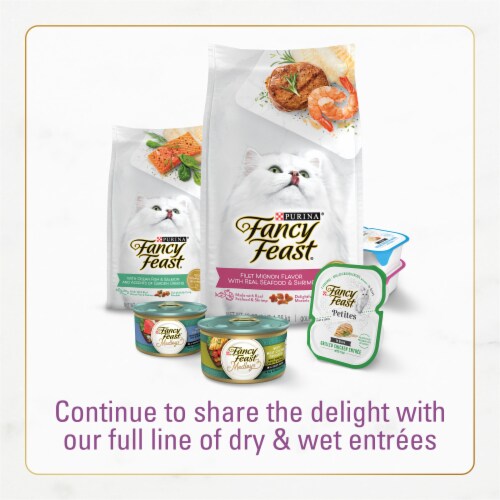 Purina Fancy Feast Dry Cat Food with Savory Chicken and Turkey 16 oz Metro Market