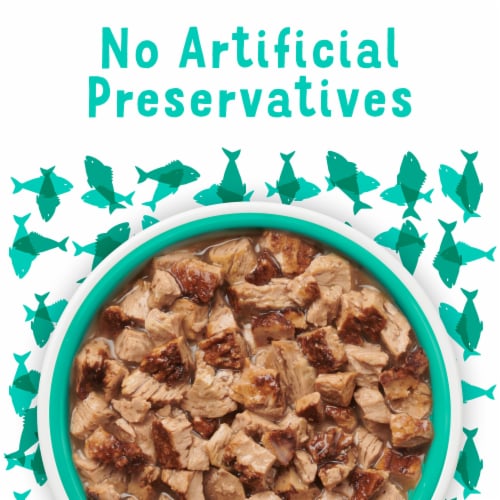 Purina Friskies Lil Grillers Wet Cat Food Complement in Gravy Seared Cuts with Ocean Fish Perspective: bottom