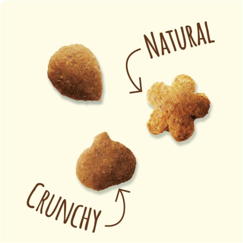 Friskies Party Mix Pumpkin Natural Yums Cat Treats Perspective: bottom