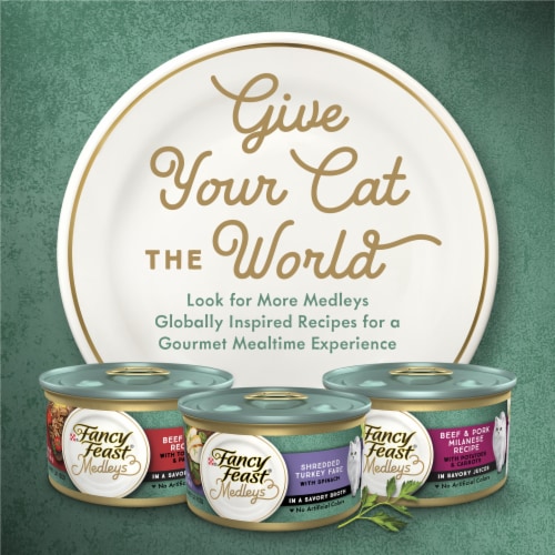 Purina Fancy Feast Medleys Shredded Wet Cat Food Wild Salmon Fare in Savory Broth Perspective: bottom