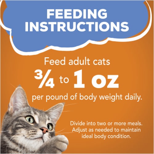Purina Friskies Gravy Wet Cat Food, Shreds With Chicken Perspective: bottom