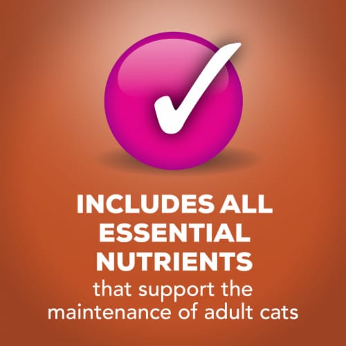 Purina Friskies Indoor Wet Cat Food in Gravy Chunky Chicken & Turkey Casserole Perspective: bottom