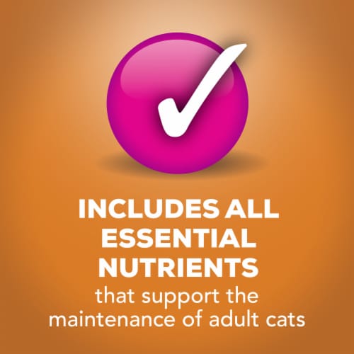 Purina Friskies Indoor Wet Cat Food Pate Chicken Dinner Perspective: bottom