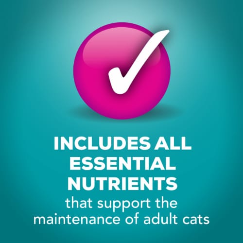 Purina Friskies Indoor Wet Cat Food Meaty Bits Saucy Seafood Bake Perspective: bottom