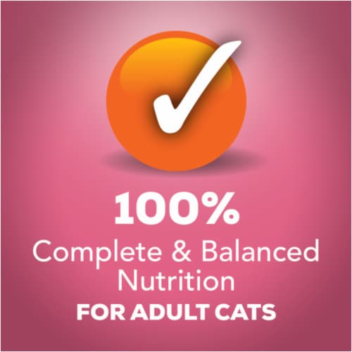 Friskies® Meaty Prime Filets Favorites in Gravy Wet Cat Food Variety Pack Perspective: bottom