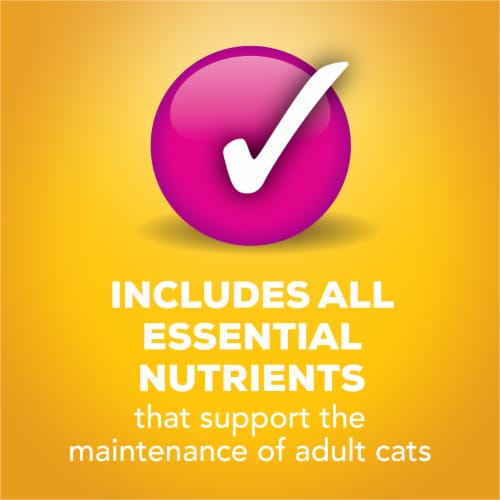Purina Friskies Tasty Treasures Prime Filets Wet Cat Food Variety Pack Perspective: bottom