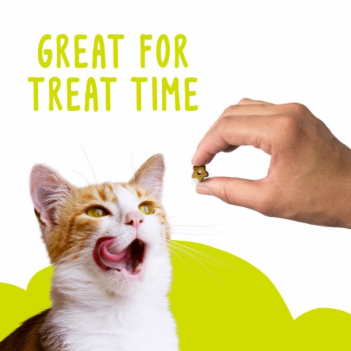 Purina Friskies Party Mix Morning Munch Crunch Cat Treats Perspective: bottom