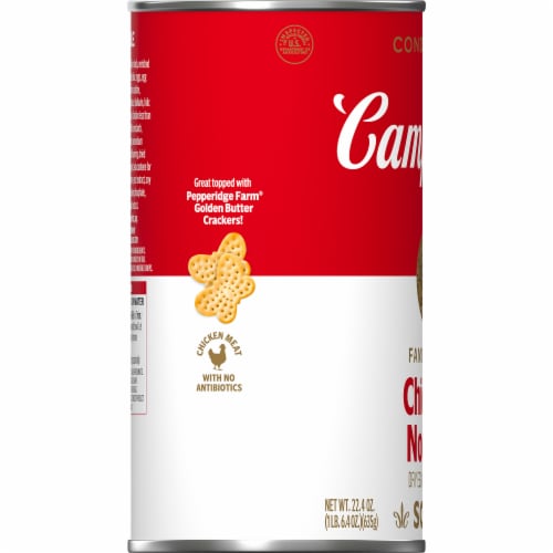 Campbell's® Condensed Chicken Noodle Soup Dry Egg Noodle Recipe Perspective: bottom