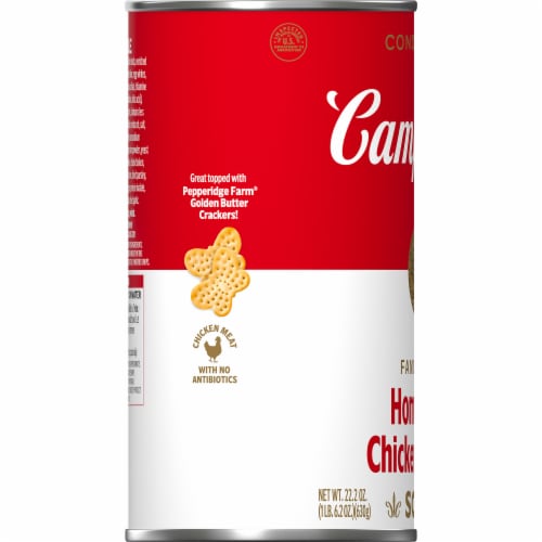 Campbell's® Condensed Homestyle Chicken Noodle Soup Family Size Perspective: bottom