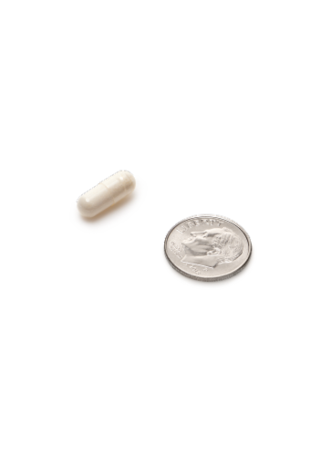 MegaFood® MegaFlora® Probiotic Capsules Perspective: bottom