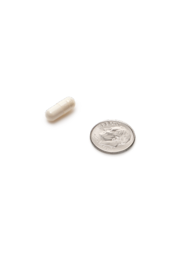 MegaFood® MegaFlora® Probiotic Capsules Perspective: bottom