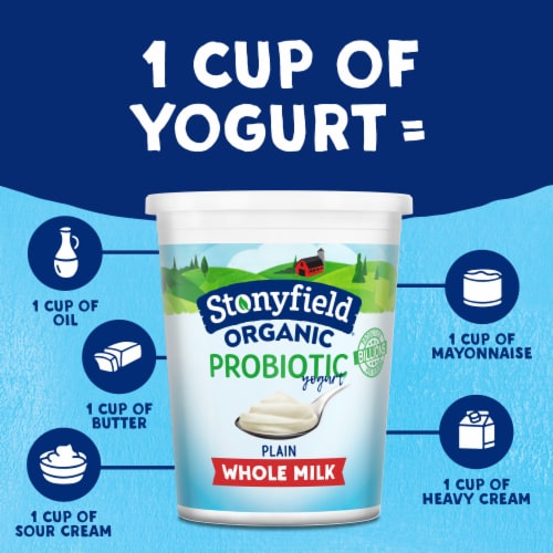 Stonyfield Organic Plain Whole Milk Probiotic Yogurt, 32 oz Container Perspective: bottom
