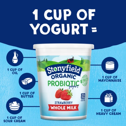 Stonyfield Organic Whole Milk Probiotic Yogurt, Strawberry, 32 oz. Perspective: bottom