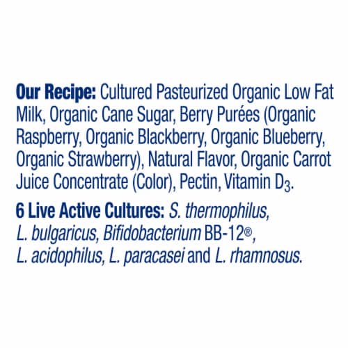 Stonyfield Organic Probiotic Wild Berry Lowfat Yogurt Smoothies 4 ct Bottles Perspective: bottom