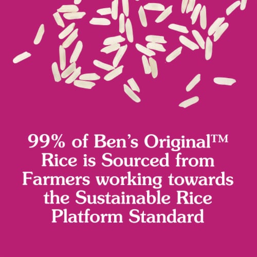 BEN'S ORIGINAL Ready Rice Tikka Masala Flavored Rice, Easy Dinner Side, 8.5 oz Pouch Perspective: bottom