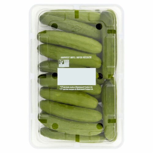 Sunset® Qukes™ Tiny Mighty Cucumbers Perspective: bottom