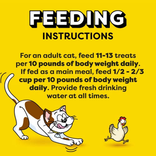 Temptations Classic Chicken Adult Cat Treats Perspective: bottom