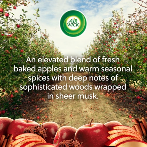 Air Wick Scented Oil Refill, Holiday Plug In, Fall Air Freshener, Warm Spiced Apple, 2 refills Perspective: bottom