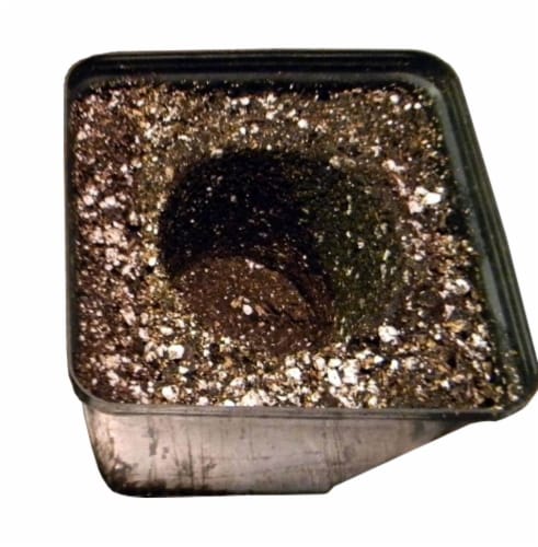 Black Gold® Natural and Organic Potting Soil Plus Fertilizer Perspective: bottom