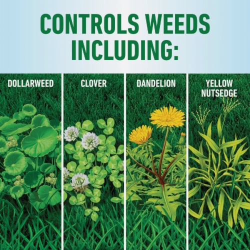 Roundup For Lawns 1 Gal. Wand Sprayer Southern Formula Weed Killer 5012506 Perspective: bottom